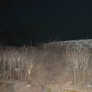 반석주유소(임차: 그린주유소) | 호미지맥 제2구간 당산고개에서 원고개까지 산행후기