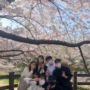 반월놀이공원 이미지