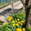 (주)힐링팜 이미지