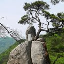 【춘천 오봉산(779m)】「소양호가 어우러져 아름다운 경관을 자랑하는 100대 명산」 이미지