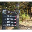 대암천 이미지