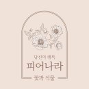 다도해 | <♥Wedding Log.04> 떨렸던 첫 만남, 상견례 후기ㅣ순천 다도해, 호접란 셀프 포장, 상견례답례품