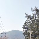 나진청하가든 이미지