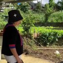돼지박사 이미지
