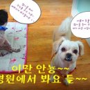 품 동물병원 이미지