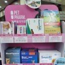 포항동물약국 이미지