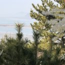 바닷가농원 이미지