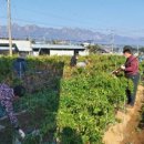 해남보호관찰소 이미지