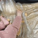 뽀작뽀작 | 11개월 아기 이마트 문센 뽀작뽀작 스페셜 오감놀이 수강 후기