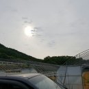 버섯돌이네농장 이미지