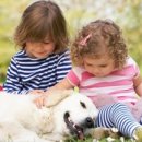 주식회사 에이티 이미지