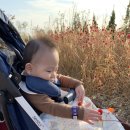 붕붕카마스타 | 0세~7세 육아템 졸업 가이드! 유모차부터 스트라이더, 두발 자전거까지 시기별 총정리