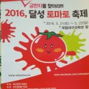 2016년 달성토마토축제 참관 이미지