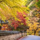 속리산농장 이미지