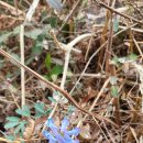 매봉산2길 이미지