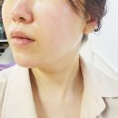 더 아르디 이미지