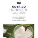 BNS산양유단백질100