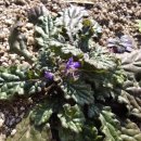 금창초등학교 이미지