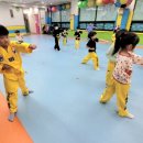 경희대장하태권도 이미지