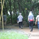 푸른길근린공원 이미지