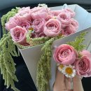 사직대로 | 💍wedding project2: 청주 샾웨딩 마이퍼스트레이디 촬영 후기