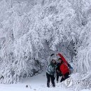 입는기쁨 이미지