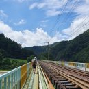 낙동강세평하늘길 이미지