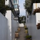 레드향 민박 이미지