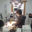 야생동물의료센터 이미지