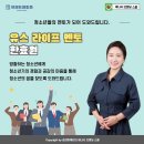 멘토라이프