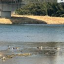 가곡동둔치주차장 이미지