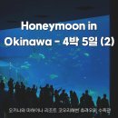 젠틀푸드(이름 변경) | 신혼여행] 4박5일 북부일정 - 마하이나 리조트후기, 코우리 해변, 츄라우미 수족관 + 렌터카 대참사까지!