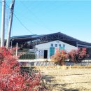 태영목장 이미지