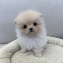 자연드림부천 네이버블로그