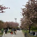 미사경정공원 이미지