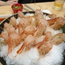 도화동꽃새우