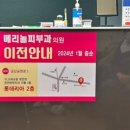 메리놀피부과의원