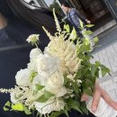 부산 서면 부케말리기 - 부케순이 “라블레어 부케캔들샵” 전포공방 내돈내산 ❀˖°