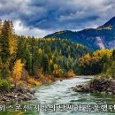 솔밭사이로 이미지