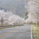 용문정 앞 이미지