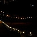 시노래 페스티벌 이미지