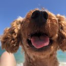 두리공인중개사사무소 이미지