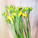 하늘에서 온 선물 이미지