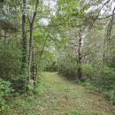 둥지펜션 야영장 이미지