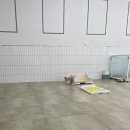 입댕로랑 이미지