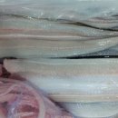 낙지가와 이미지