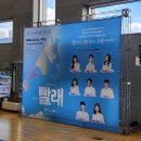 대전시립연정국악원 | 뮤지컬 빨래 대전시립연정국악원 공연관람 후기 혼뮤 나홀로 뮤지컬