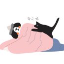 평거동4 이미지