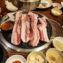 제주도세기 이미지