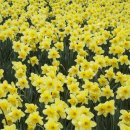 바다풍경(오륙도) 이미지